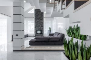 house with indoor plants 300x200 - house with indoor plants