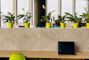 a laptop on a wooden table near potted plants 300x201 - a laptop on a wooden table near potted plants